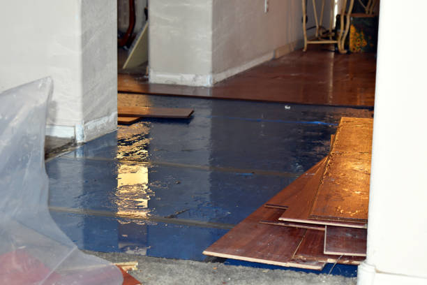 Professional Sewage Cleanup technician working in Portland, MO